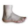 Foot